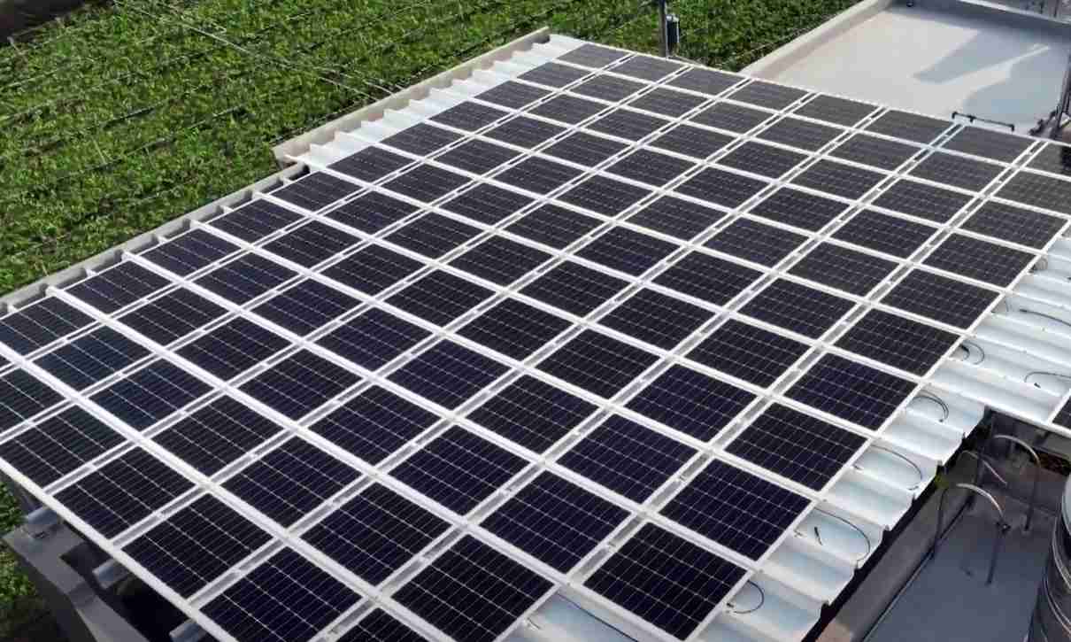 z6mg·人生就是博SunSteel光电浪板升级双玻结构，，，，以提升机械负载强度及气候耐候度，，可广泛运用于多元场域